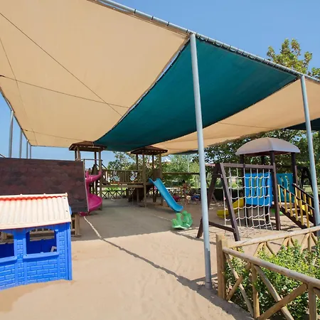 Sentido Trendy Verbena Complex