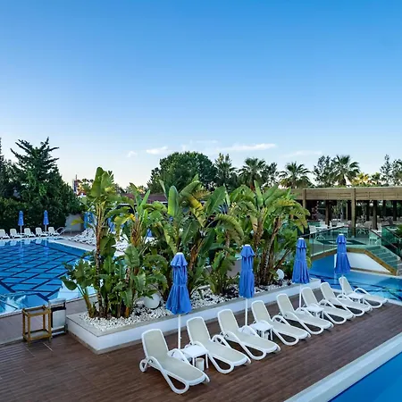 Sentido Trendy Verbena Θέρετρο