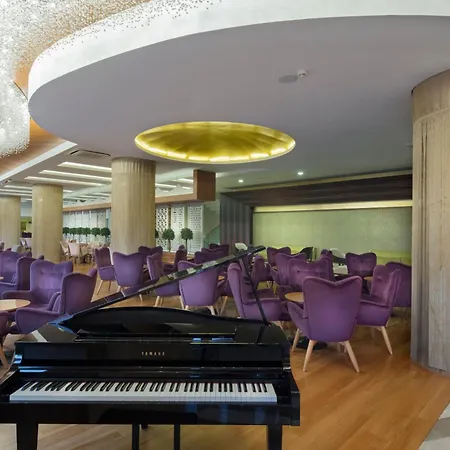 Sentido Trendy Verbena 시데