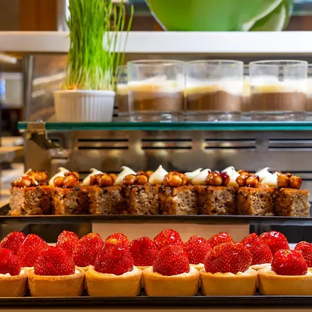 Sentido Trendy Verbena 시데