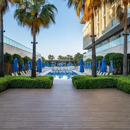 Sentido Trendy Verbena 시데